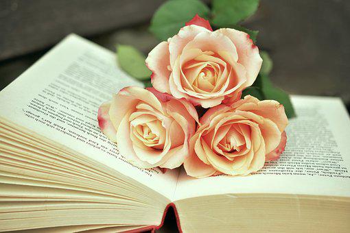 一本书, 书页, 读, 玫瑰, 浪漫的, 文学, 页, 纸, 滚动, 图书