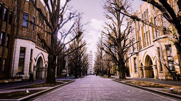 冬天, 日本, 东京大学, 建筑, 东京大学, 东京大学, 东京大学, 东京大学